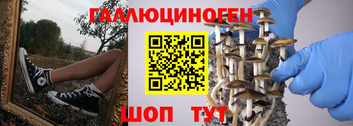 Муром  Галлюциногенные грибы прущие грибы  Вход с VPN 