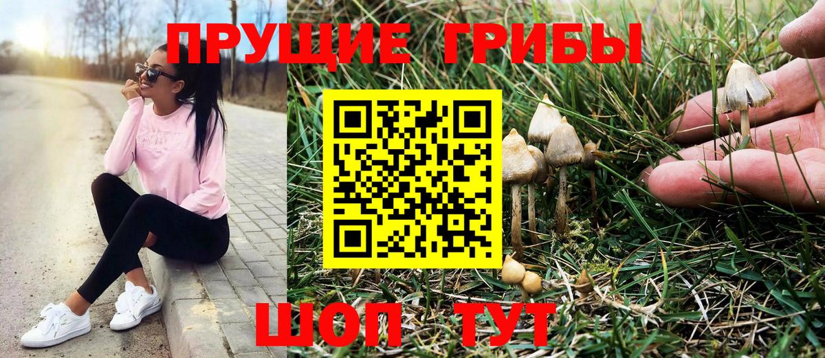 Галлюциногенные грибы GOLDEN TEACHER Муром