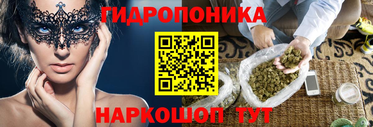 Канабис сатива Муром